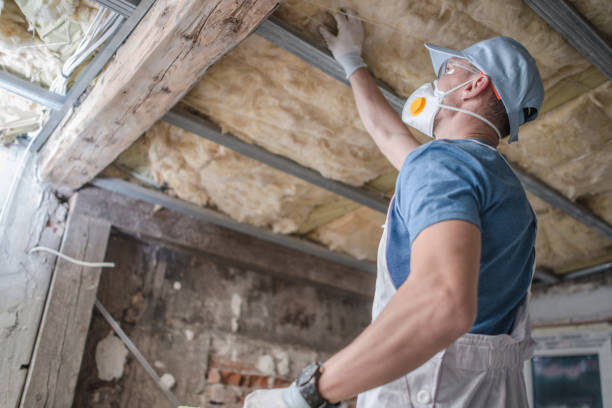 Types of Insulation We Offer in Horicon, WI