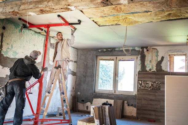Best Cellulose Insulation in Horicon, WI