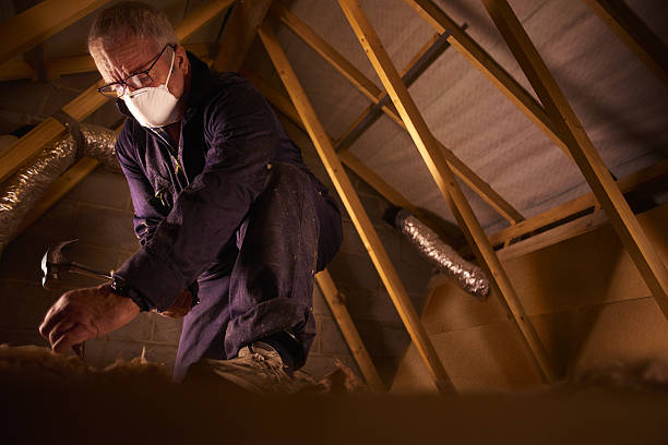 Best Specialized Insulation Services in Horicon, WI