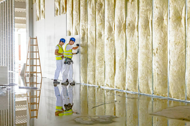 Best Energy Efficiency Insulation in Horicon, WI